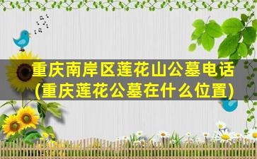 重庆南岸区莲花山公墓电话(重庆莲花公墓在什么位置)