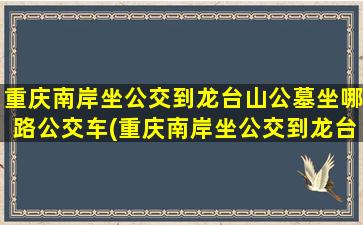 重庆南岸坐公交到龙台山公墓坐哪路公交车(重庆南岸坐公交到龙台山公墓坐哪路公交车最近)