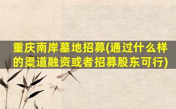 重庆南岸墓地招募(通过什么样的渠道融资或者招募股东可行)
