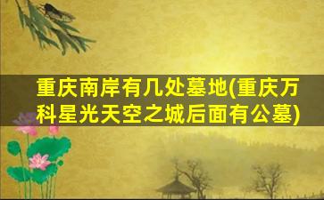 重庆南岸有几处墓地(重庆万科星光天空之城后面有公墓)