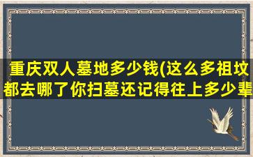 重庆双人墓地多少钱(这么多祖坟都去哪了你扫墓还记得往上多少辈)