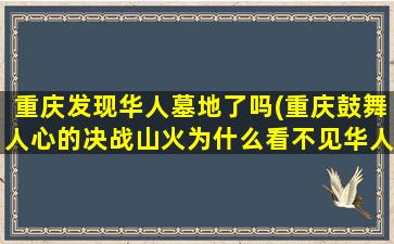 重庆发现华人墓地了吗(重庆鼓舞人心的决战山火为什么看不见华人的评论)