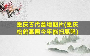 重庆古代墓地图片(重庆松鹤墓园今年能扫墓吗)