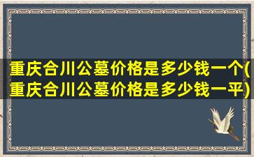 重庆合川公墓价格是多少钱一个(重庆合川公墓价格是多少钱一平)