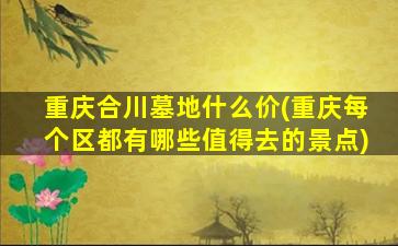 重庆合川墓地什么价(重庆每个区都有哪些值得去的景点)