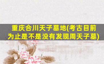 重庆合川天子墓地(考古目前为止是不是没有发现周天子墓)