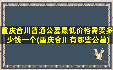 重庆合川普通公墓最低价格需要多少钱一个(重庆合川有哪些公墓)