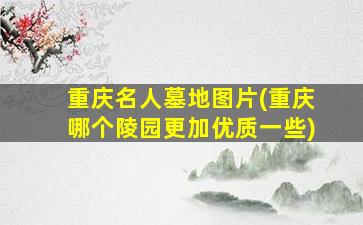重庆名人墓地图片(重庆哪个陵园更加优质一些)