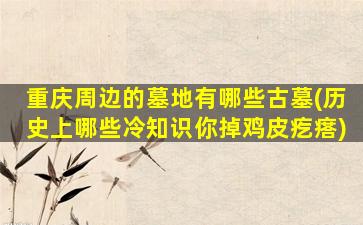 重庆周边的墓地有哪些古墓(历史上哪些冷知识你掉鸡皮疙瘩)
