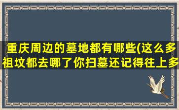 重庆周边的墓地都有哪些(这么多祖坟都去哪了你扫墓还记得往上多少辈)