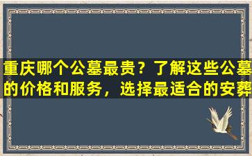 重庆哪个公墓最贵？了解这些公墓的价格和服务，选择最适合的安葬地！