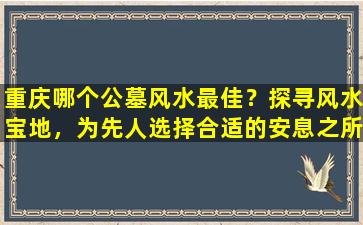 重庆哪个公墓风水最佳？探寻风水宝地，为先人选择合适的安息之所