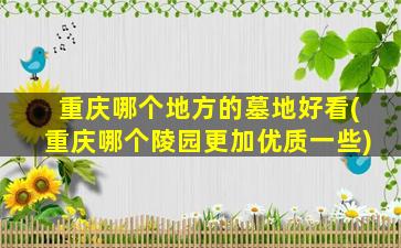 重庆哪个地方的墓地好看(重庆哪个陵园更加优质一些)
