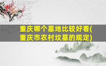 重庆哪个墓地比较好看(重庆市农村坟墓的规定)
