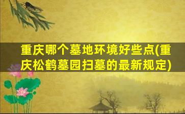 重庆哪个墓地环境好些点(重庆松鹤墓园扫墓的最新规定)
