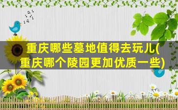 重庆哪些墓地值得去玩儿(重庆哪个陵园更加优质一些)