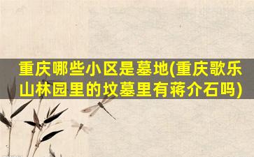 重庆哪些小区是墓地(重庆歌乐山林园里的坟墓里有蒋介石吗)