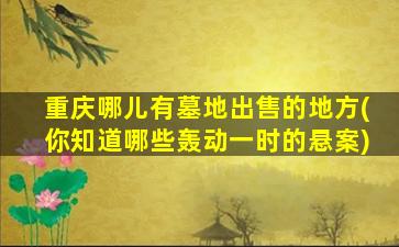 重庆哪儿有墓地出售的地方(你知道哪些轰动一时的悬案)