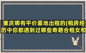 重庆哪有平价墓地出租的(租房经历中你都遇到过哪些奇葩合租女和她们的奇葩事)