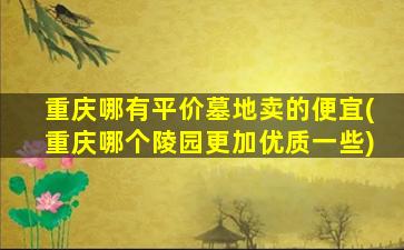 重庆哪有平价墓地卖的便宜(重庆哪个陵园更加优质一些)