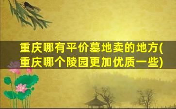 重庆哪有平价墓地卖的地方(重庆哪个陵园更加优质一些)