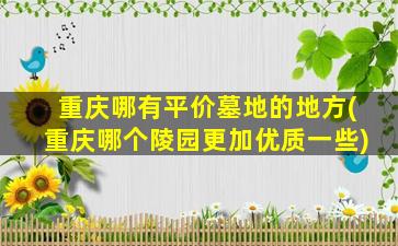 重庆哪有平价墓地的地方(重庆哪个陵园更加优质一些)