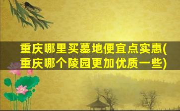 重庆哪里买墓地便宜点实惠(重庆哪个陵园更加优质一些)