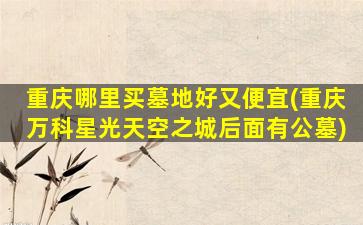 重庆哪里买墓地好又便宜(重庆万科星光天空之城后面有公墓)