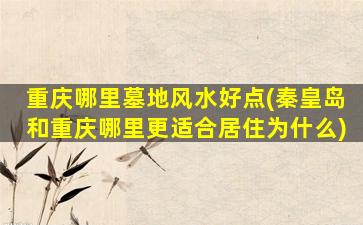 重庆哪里墓地风水好点(秦皇岛和重庆哪里更适合居住为什么)