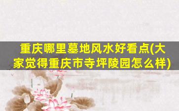 重庆哪里墓地风水好看点(大家觉得重庆市寺坪陵园怎么样)