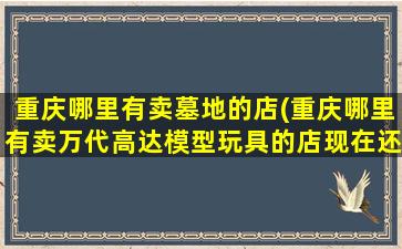 重庆哪里有卖墓地的店(重庆哪里有卖万代高达模型玩具的店现在还在营业的)