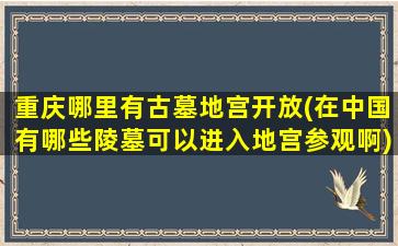 重庆哪里有古墓地宫开放(在中国有哪些陵墓可以进入地宫参观啊)