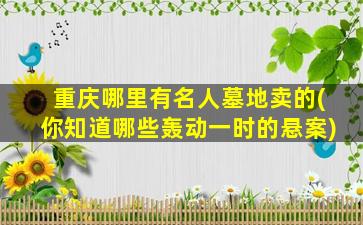 重庆哪里有名人墓地卖的(你知道哪些轰动一时的悬案)