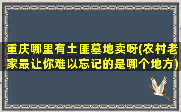 重庆哪里有土匪墓地卖呀(农村老家最让你难以忘记的是哪个地方)