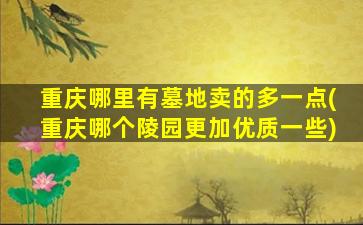 重庆哪里有墓地卖的多一点(重庆哪个陵园更加优质一些)