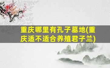 重庆哪里有孔子墓地(重庆适不适合养殖君子兰)
