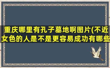 重庆哪里有孔子墓地啊图片(不近女色的人是不是更容易成功有哪些例子)