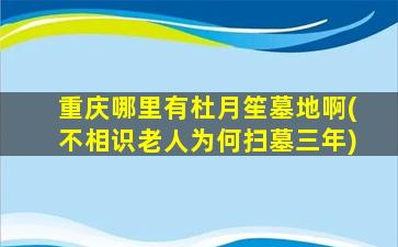 重庆哪里有杜月笙墓地啊(不相识老人为何扫墓三年)