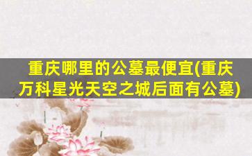重庆哪里的公墓最便宜(重庆万科星光天空之城后面有公墓)