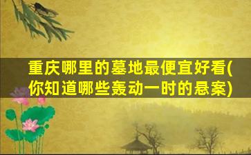 重庆哪里的墓地最便宜好看(你知道哪些轰动一时的悬案)
