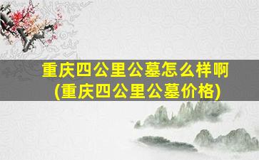 重庆四公里公墓怎么样啊(重庆四公里公墓价格)