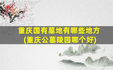 重庆国有墓地有哪些地方(重庆公墓陵园哪个好)
