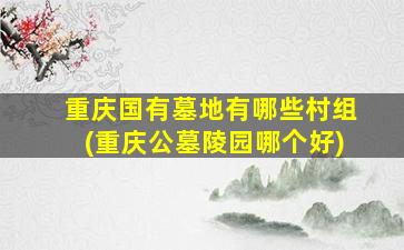重庆国有墓地有哪些村组(重庆公墓陵园哪个好)