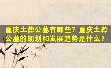 重庆土葬公墓有哪些？重庆土葬公墓的规划和发展趋势是什么？