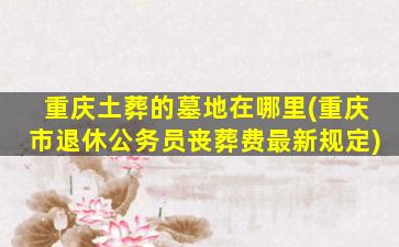 重庆土葬的墓地在哪里(重庆市退休公务员丧葬费最新规定)
