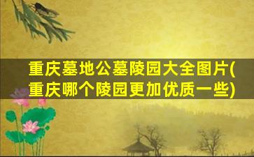重庆墓地公墓陵园大全图片(重庆哪个陵园更加优质一些)