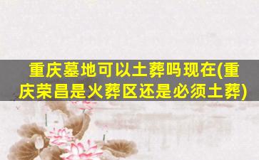 重庆墓地可以土葬吗现在(重庆荣昌是火葬区还是必须土葬)