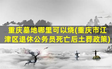 重庆墓地哪里可以烧(重庆市江津区退休公务员死亡后土葬政策)