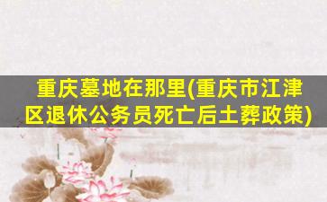 重庆墓地在那里(重庆市江津区退休公务员死亡后土葬政策)