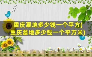 重庆墓地多少钱一个平方(重庆墓地多少钱一个平方米)
